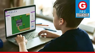 Game Developer