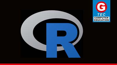 Junior Programmer – R