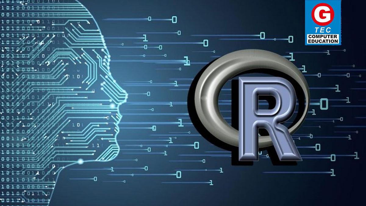 Junior Programmer – R