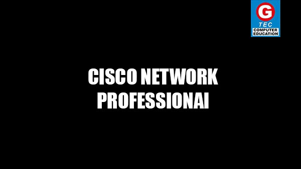 CISCO NETWORK PROFESSIONAL (G-CCNP)